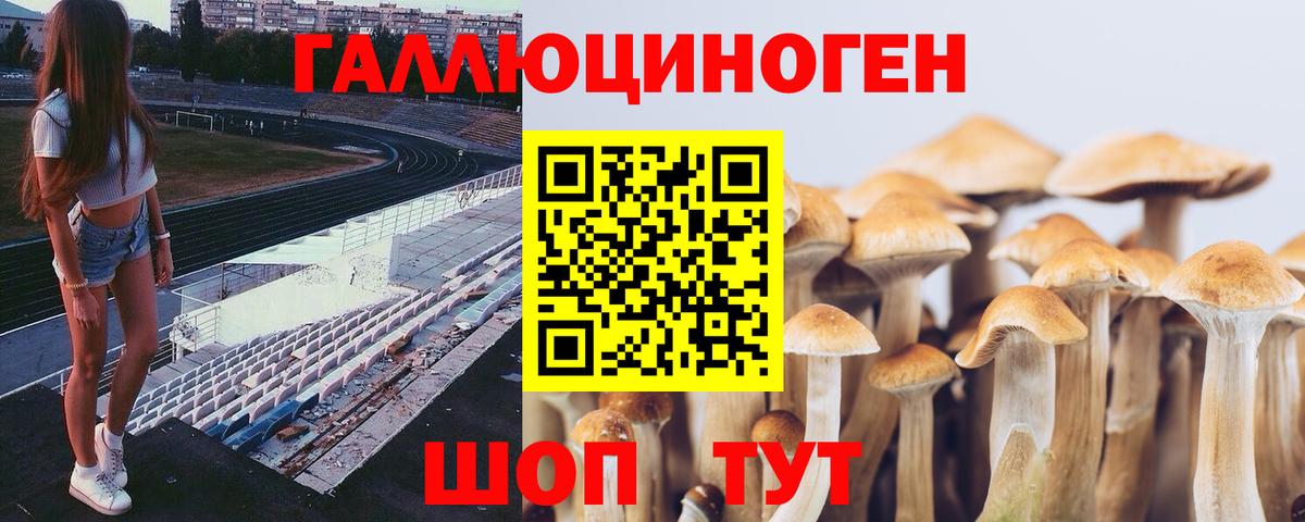 Галлюциногенные грибы прущие грибы  Вход с VPN  Горно-Алтайск  Псилоцибиновые грибы Psilocybine cubensis 